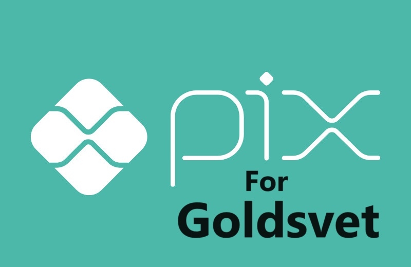 Pix payment gateway integration in goldsvet script